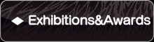 Exhibitions&amp;Awards